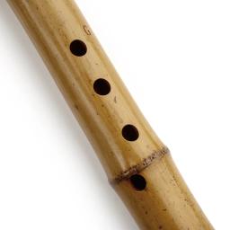 TangKou-chinês instrumentos musicais profissionais, Gui Zhu, NanXiao G Key, oito buracos, não Shakuhachi, profissional - Image 5