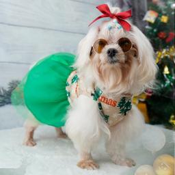 Roupas para cães de natal roupas para animais de estimação de inverno vestidos quente bonito impresso saia para cães filhote de cachorro gato gatinho de algodão gatos traje roupas para animais de estimação - Image 3