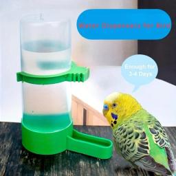 Distribuidores de água para gaiolas, copos, garrafas, pardais, papagaios, periquitos, calopsitas, Lovebirds alimentador e Waterer - Image 2