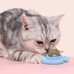 Gato do animal de estimação natural catnip bola cenoura forma hortelã-resistente dentes limpeza molar brinquedo do gato de estimação acessórios - Image 1