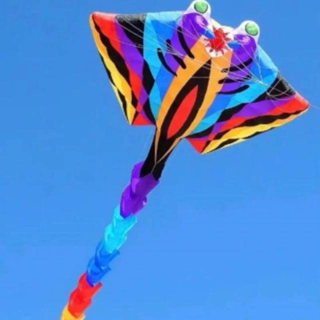 Pipa Ray Fish 1500cm Nylon Ripstop para Adultos