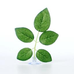 Terrário plantas para répteis, tartarugas, decoração do terrário, acessórios do aquário, 5pcs - Image 5