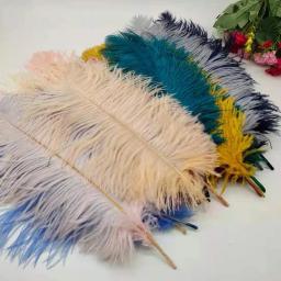Natural Avestruz Penas para Artesanato, Decoração Do Casamento, Acessórios De Artesanato, Mesa Centerpieces, Plumas De Carnaval, Natal, 10Pcs por Lote - Image 2
