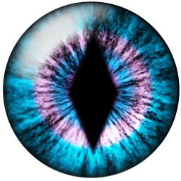Cabochões de vidro redondos com olhos de gato e dragão, acessórios de jóias artesanais, 10mm/12mm/14mm/16mm/18mm/20mm/25mm, h014, 24pcs - Image 5