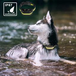 Colar de treinamento do cão do animal de estimação elétrico controle remoto 1000ft barkproof coleiras para cães vibração som choque recarregável à prova drechargeable água - Image 6