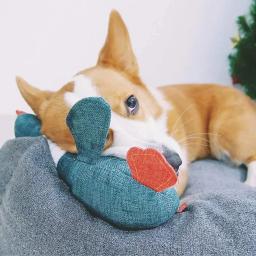 Goose Squeaky Stuffed Plush Animals, Brinquedos de Treinamento para Chewers Agressivos, Cão e Gato, Raça Pequena, Decoração da Casa, 1 PC - Image 4