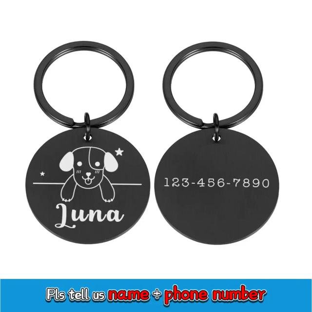 Etiquetas Personalizadas e Coleiras de Aço Inoxidável: Placas de Identificação Antiperda para Gatos e Cães Filhotes