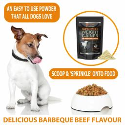 Articulações Musculares Para Cães, Raça Bully, Whey Protein Em Pó, Construir Músculo, Melhora a Força, Produtos, Pele, Casaco - Image 2