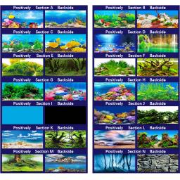 3D Fish Tank Wallpaper fundo, imagem de alta definição, pintura dupla face, decoração do aquário, tridimensional - Image 6