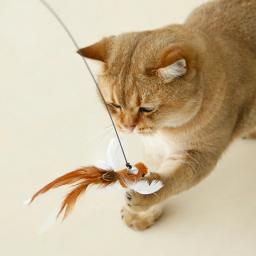 Varinha de gato de penas de pássaro sem as mãos com sino poderosa ventosa brinquedos interativos para gatos gatinho caça exercício produtos para animais de estimação - Image 1