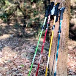 Bastão de trekking dobrável para acampamento, 5 seções, portátil, caminhada, para idosos nórdicos, telescópico, fácil de colocar no saco, 1 peça - Image 5
