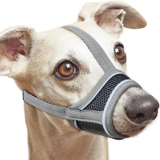 Focinho Antiderrapante Ajustável para Cães de Todos os Tamanhos - Malha Respirável e Correias de Nylon