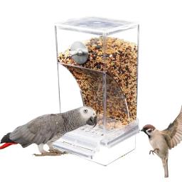 Alimentador Automático De Gaiola De Pássaro Com Perch Recipiente De Alimento Transparente Acessórios Para Pássaros Papagaio Alimentadores De Sementes, Acrílico - Image 6