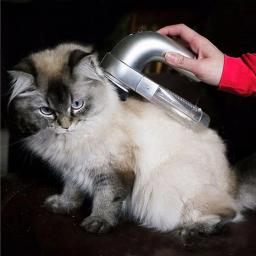 Aspirador elétrico para cão e gato, removedor de cabelo, removedor de cabelo, sucção para animais de estimação, massagem, grooming, animais, pente - Image 1