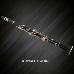 Caindo Tune B Clarinete com Canvas Bag, 17 Key, Instrumentos de sopro, adequado para iniciantes, Instrumento Full Time - Image 1