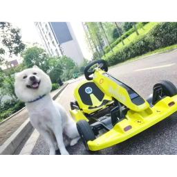 Kit de kart modificado para carro de equilíbrio adulto criança universal internet celebridade drift racing (veículo inteiro) - Image 3