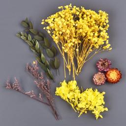 Aromaterapia Vela Moldes para DIY, Flores Secas, Plantas Secas, Molde De Fundição De Resina Epóxi, Ferramentas De Artesanato, Jóias Fazendo Acessórios, 1 Caixa - Image 5