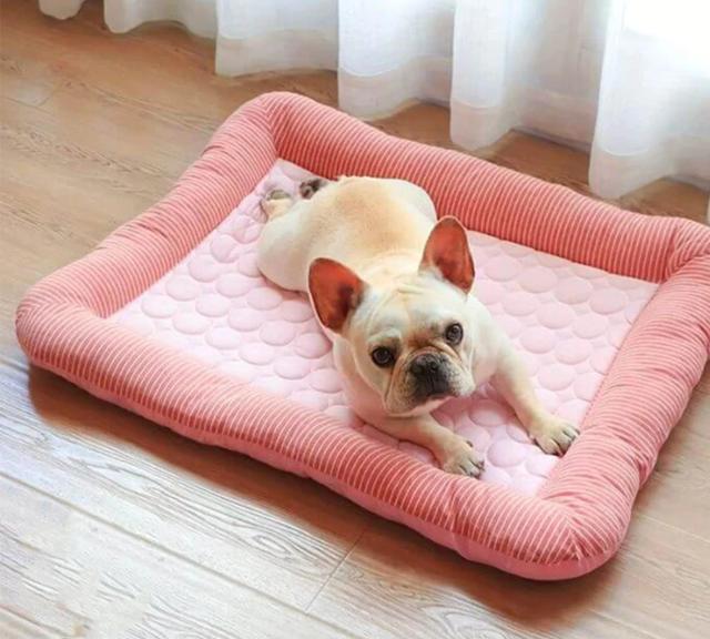 Cama Resfriante de Seda Gelada para Cães e Gatos - Ideal para o Verão e Praia