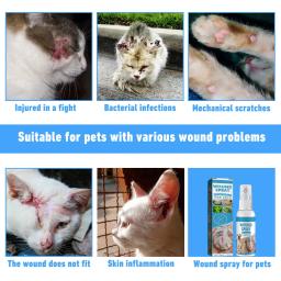 Recuperação Medicado Spray anti-séptico para cães e gatos, ferida e cuidados com a pele, Spray reparador de ferida sast para condição da pele, 30ml, 1 pc, 2 pcs, 5pcs - Image 2