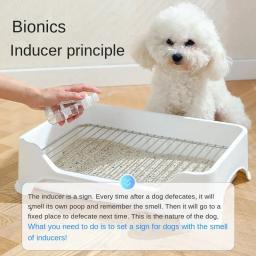 Posicionamento Pet Toilet Training Spray, Indução defecação eficaz para cães, Itens - Image 4