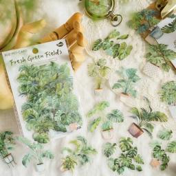 Impermeável Vintage Botânico Samambaia Folha Adesivos Set, Transparente PET Plant, Scrapbook Adesivos para DIY Jornal Decoração, 30 pcs - Image 1