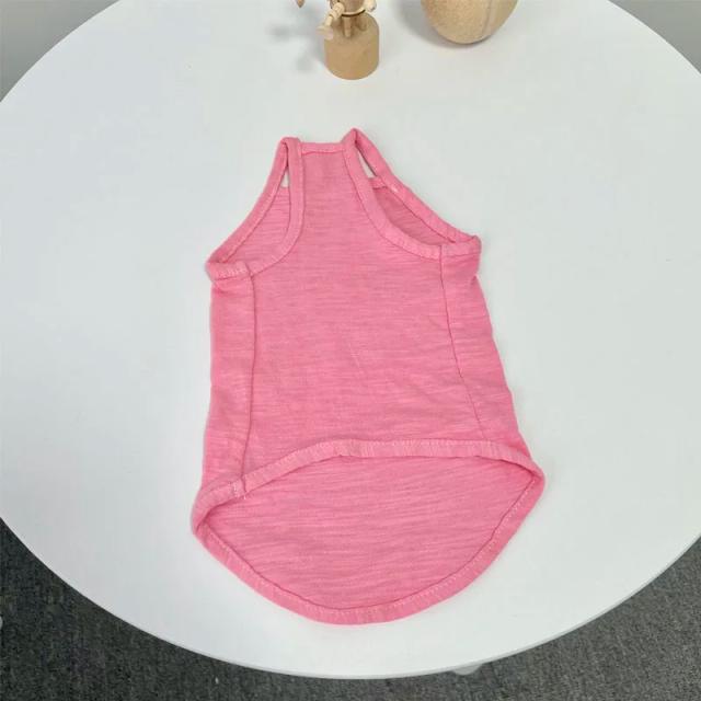Roupas Coloridas em Algodão para Gatos Sem Pêlos e Devon Rex: Estilo e Conforto para Seu Gatinho