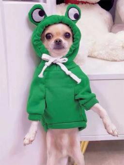 Camisola de rã fofa para cães pequenos e médios, capuz verde com design divertido, mantenha seu cachorro aconchegante e elegante, 1pc - Image 4