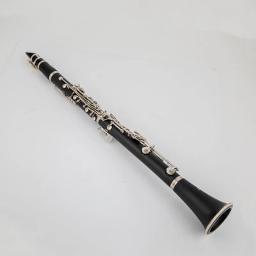 Novo buffet e13 b-flat tune profissional de alta qualidade instrumentos de sopro clarinete tubo preto com acessórios caso - Image 2