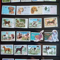 Pássaros raros e animais selos para decoração Home, presentes da coleção filatélica mundial, selos postais estrangeiros, não repetidos, vários - Image 4