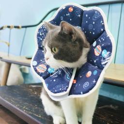 Gato macio cone elizabetano colar para cães gatos recuperação protetora cone para cães e gatos para evitar animais de estimação de lamber cone - Image 1