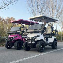 2/4/6/8 assentos caça carrinho de golfe rua legal elétrico fora da estrada carrinhos de golfe carro buggy scooter de golfe gocart - Image 6