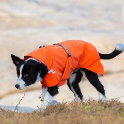 Truelove roupas para animais de estimação impermeável blusão destacável jaqueta roupas para cães padrões de moda macio casaco de chuva para animais de estimação yg1872 - Image 3