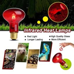 Lâmpada de aquecimento para répteis anfíbios, luz UV, dia e noite, répteis, plantas e animais de estimação, 25W, 50W, 75W, 100W, CA 220-240V - Image 1