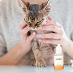Óleo de cabelo para escova de vapor, sem enxaguamento, Pet Skin Care, suprimentos para cão, gato, cachorro, gatinho, 20ml - Image 2