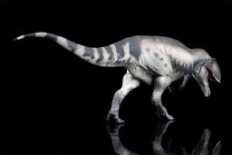 PNSO-Mila the Mapusaurus Model for Kids, Animal Pré-Histórico, Colecionador de Dinossauros Carcharodontosaurus, Decoração Realística, Brinquedo Educativo, 68 - Image 5