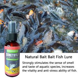Peixe Lure Agent, Cheiro de peixe, Pheromone Food Attractant, Rio selvagem Pesca Carpa Crucian, Arenque atração Spray - Image 5