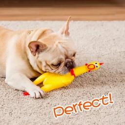 Screaming Chicken Toy for Dogs, Squeezing Sound, Pet Acessórios, Dog Toys, Dental Chews Supplies, Produtos interativos - Image 2