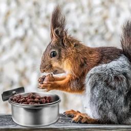 Caixa De Alimentador De Pássaro Copos De Papagaio Tigelas Recipiente De Aço Inoxidável Gaiola De Animais De Estimação De Alimentação De Água Acessórios - Image 3