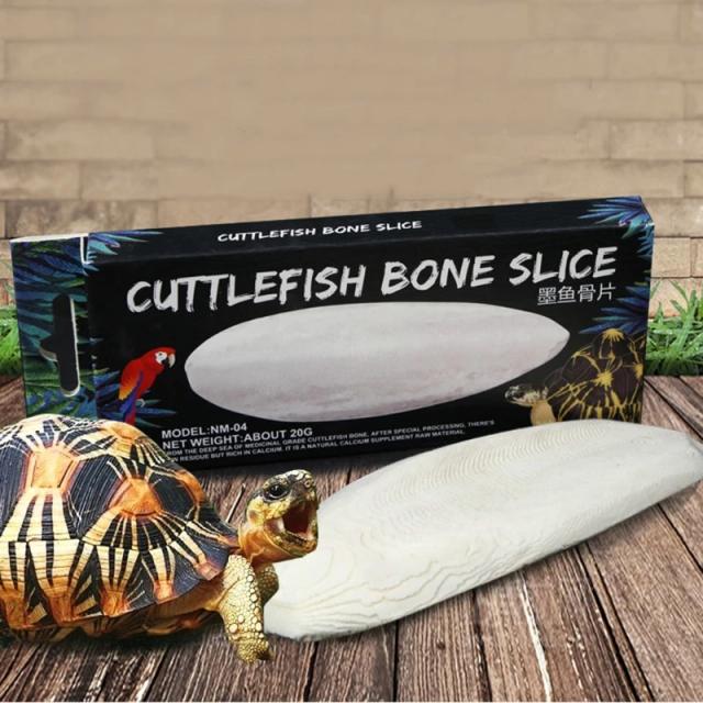 Suplemento de Cálcio em Bloco Cuttlebone: Alimento Ideal para Aves Aquáticas e Tartarugas Répteis.