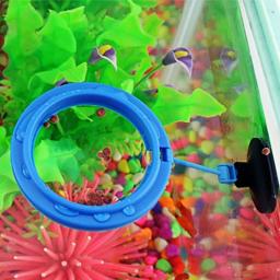 Plástico flutuante alimentador de alimentos para aquário, peixe alimentação suprimentos, flutuabilidade círculo, quadrado e redondo anel de alimentação, tanque de peixes acessório - Image 4