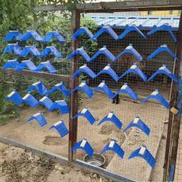 Pombo V poleiros do poleiro, Dove resto Stand, Pássaros poleiro, Pássaro Suprimentos, 10pcs - Image 5
