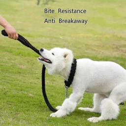 Trela do chicote de fios do cão de náilon para cães médios grandes leva o treinamento do animal de estimação correndo segurança montanha escalada trelas do cão fornecimento de cordas - Image 5