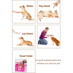 Pet Training Clicker com Correia, Clipes De Treinamento De Cães - Image 5