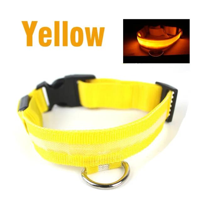 Coleira LED Luminosa para Cães e Gatos com Sistema Anti-Lost Ideal para Proteção em Passeios Noturnos
