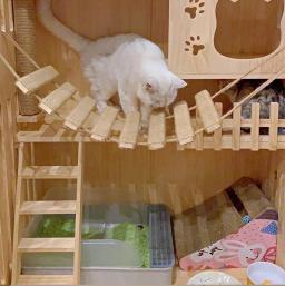 Brinquedos Atividade de parede Cat Wood Sisal Scratcher Climber Mobiliário Cat Bridge Corda Passos Gatinho Escada Gatinho Post Wall - Image 6