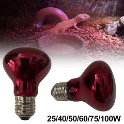 Lâmpada de aquecimento para répteis anfíbios, luz UV, dia e noite, répteis, plantas e animais de estimação, 25W, 50W, 75W, 100W, CA 220-240V - Image 2