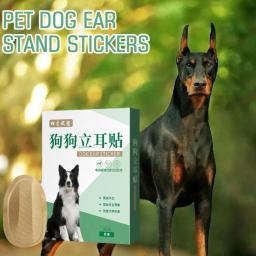 Conjunto de 2 peças para apoio orelha do cão adesivos, orelha correção suprimentos, orelha cuidados ferramentas, conveniente e eficaz - Image 2