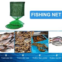 Rede de pesca dobrável para peixes vivos, gaiola cesta, armadilha, armadilha para lagostas, lagosta, camarão, isca, anel, rede, equipamento - Image 4