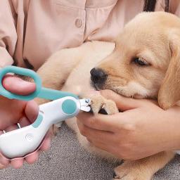 Profissional Electric Pet Nail Clippers, lixa de unhas, aparadores de garras, cortador de unhas com luzes LED, seguro - Image 2