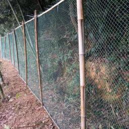 Heavy Duty Anti Bird Netting Garden Fence e Culturas, Malha De Esgrima De Proteção, Rede De Pesca, Veados, Gato, Cão, Frango - Image 6